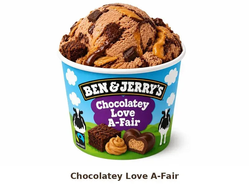 Burger King Ben & Jerry’s Chocolatey Love A-Fair ice cream tub
